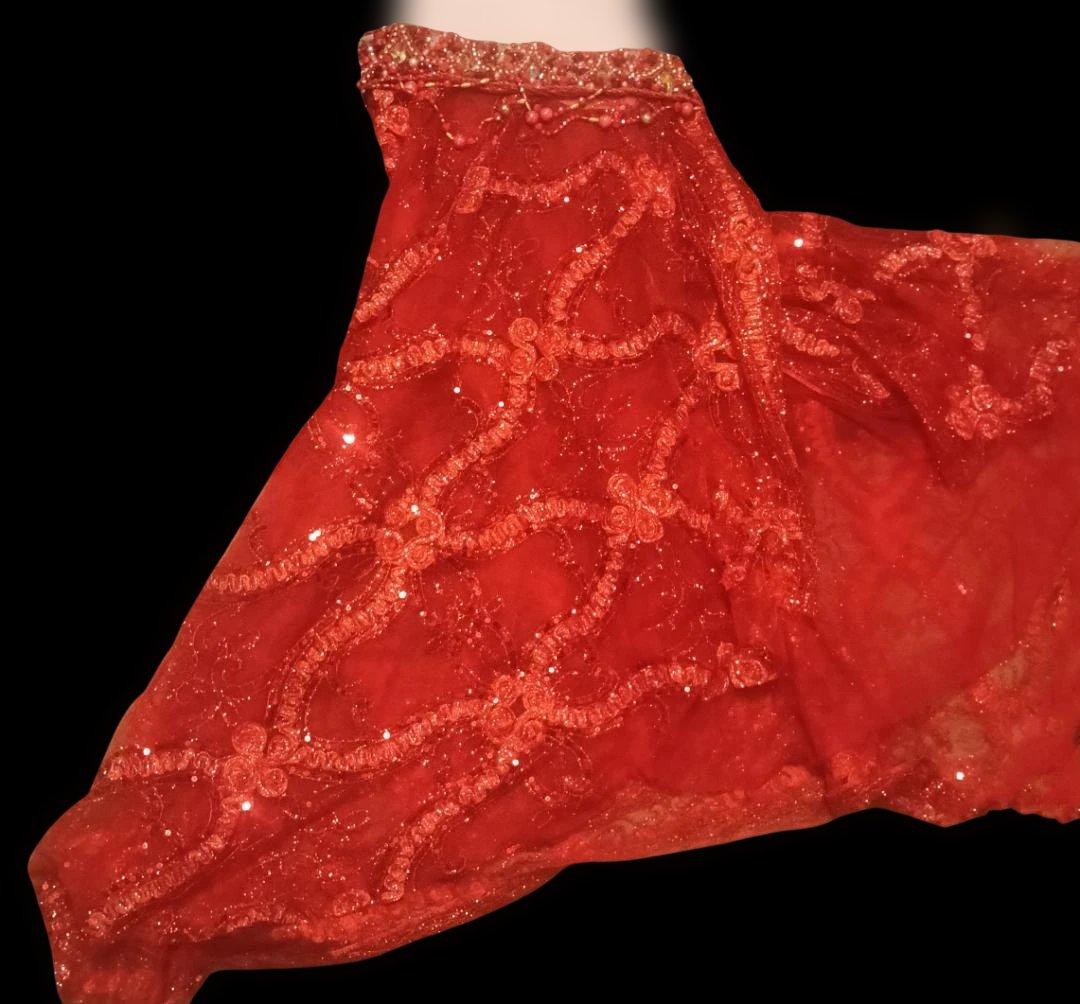 【新品Sale】エジプト製デザイナーズベリーダンス衣装セット赤