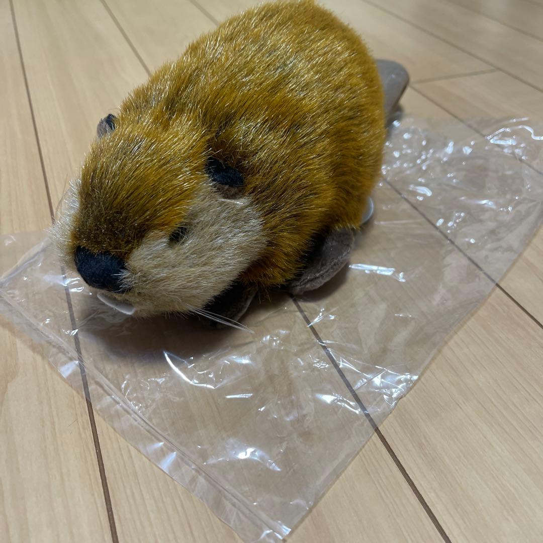 スーパービーバーちゃん　新品未使用品