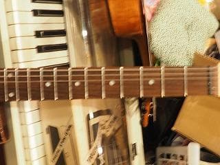 激レア！１９８０年代！約３０年前のフェルナンデス クリスタル象さんギターです！