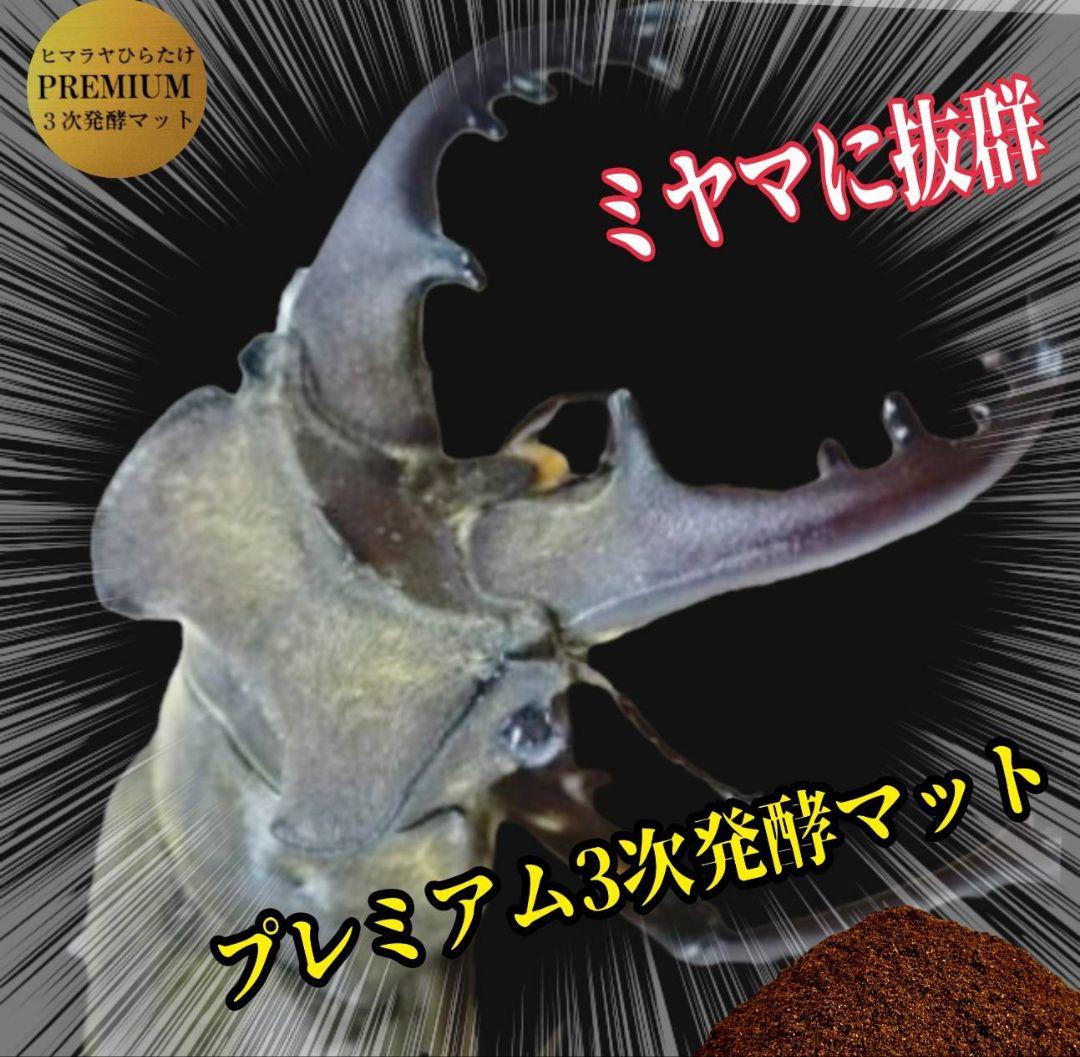 アンタエウスに抜群！プレミアム3次発酵マット【40リットル】バクテリア強化配合