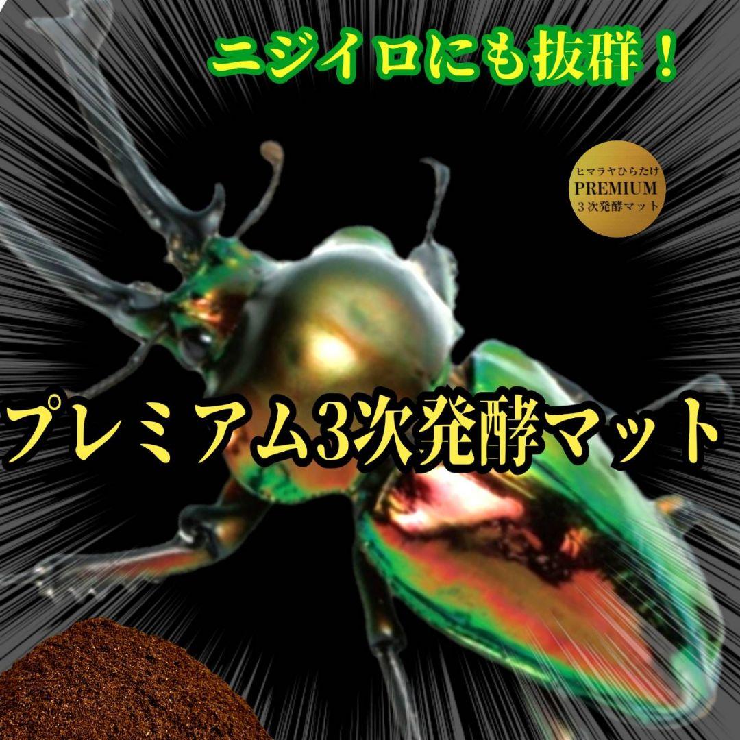 アンタエウスに抜群！プレミアム3次発酵マット【40リットル】バクテリア強化配合