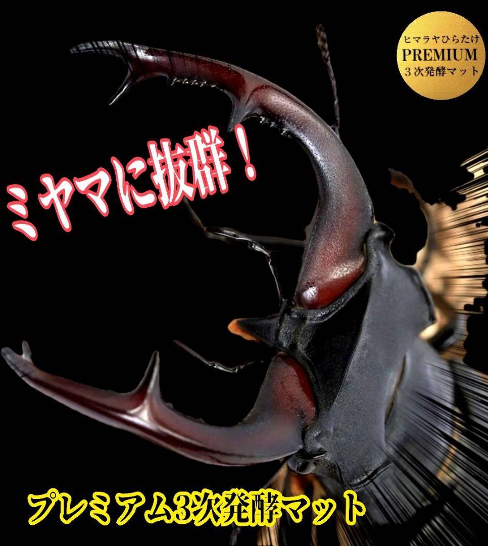 アンタエウスに抜群！プレミアム3次発酵マット【40リットル】バクテリア強化配合