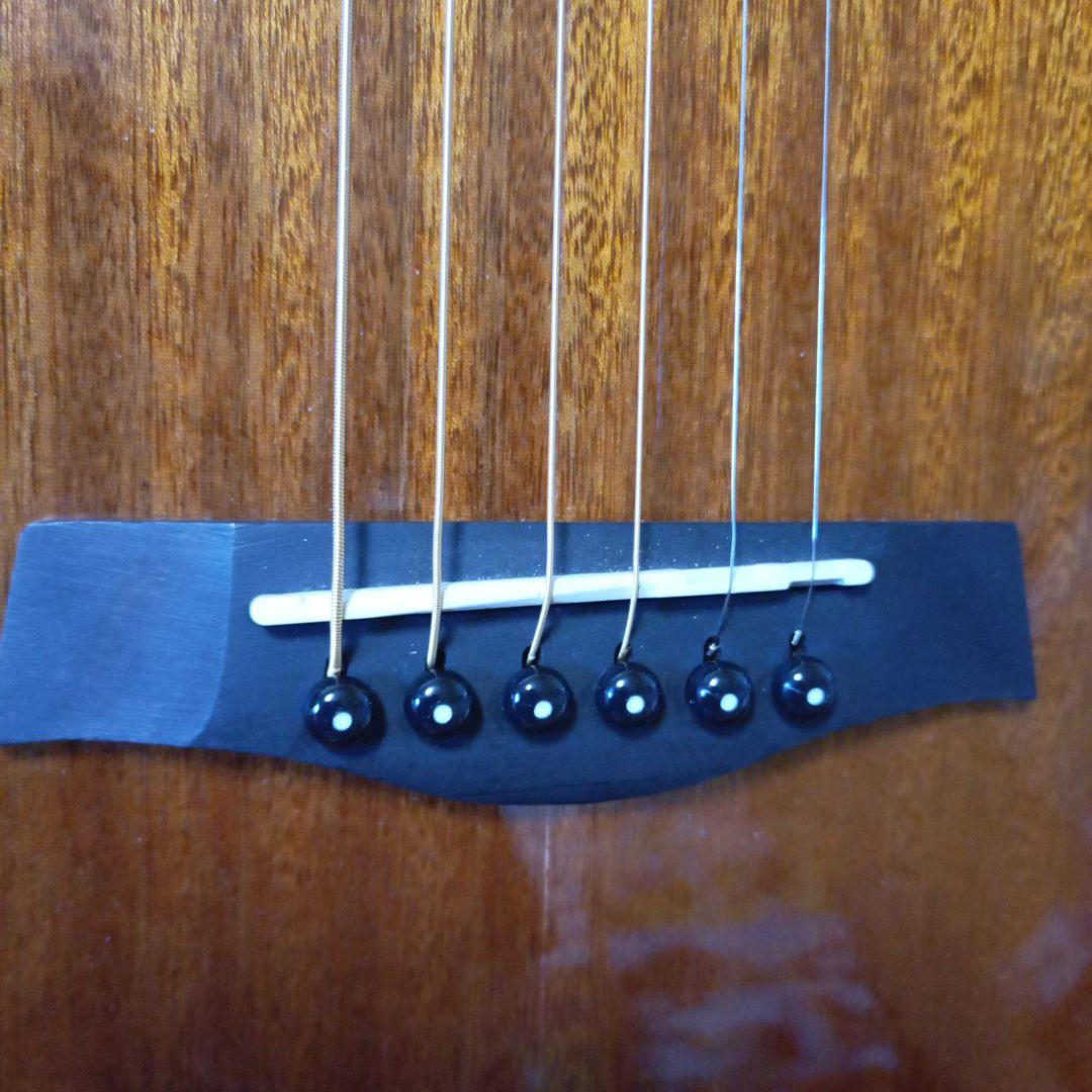 トラベラー アコースティックギターREDLANDS エレアコ仕様