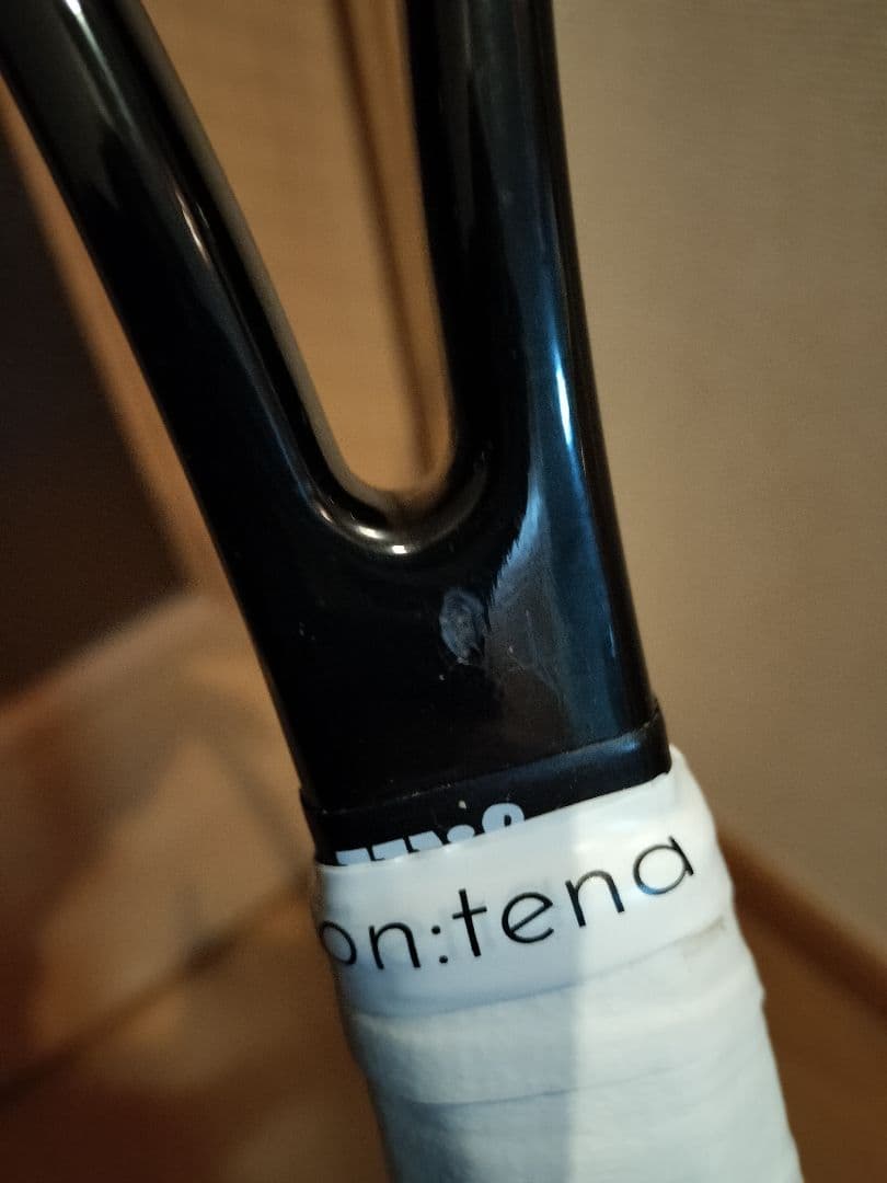 プロストック　H19