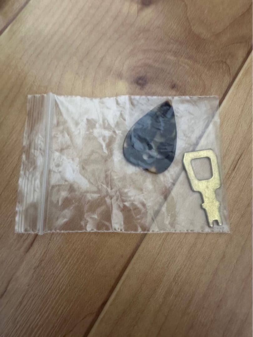 ケース極美品✨ スーパーライトマンドリンケース スズキ バイオリンNO.226