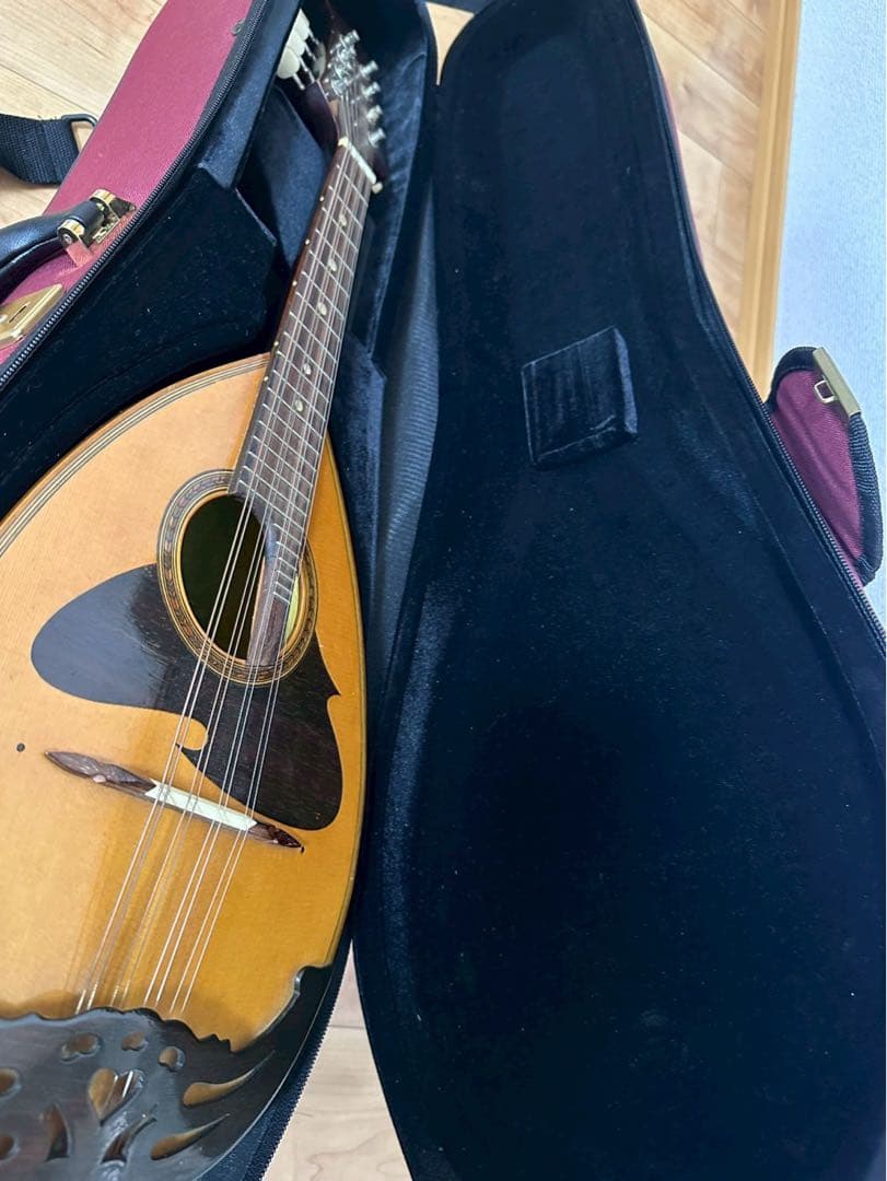 ケース極美品✨ スーパーライトマンドリンケース スズキ バイオリンNO.226
