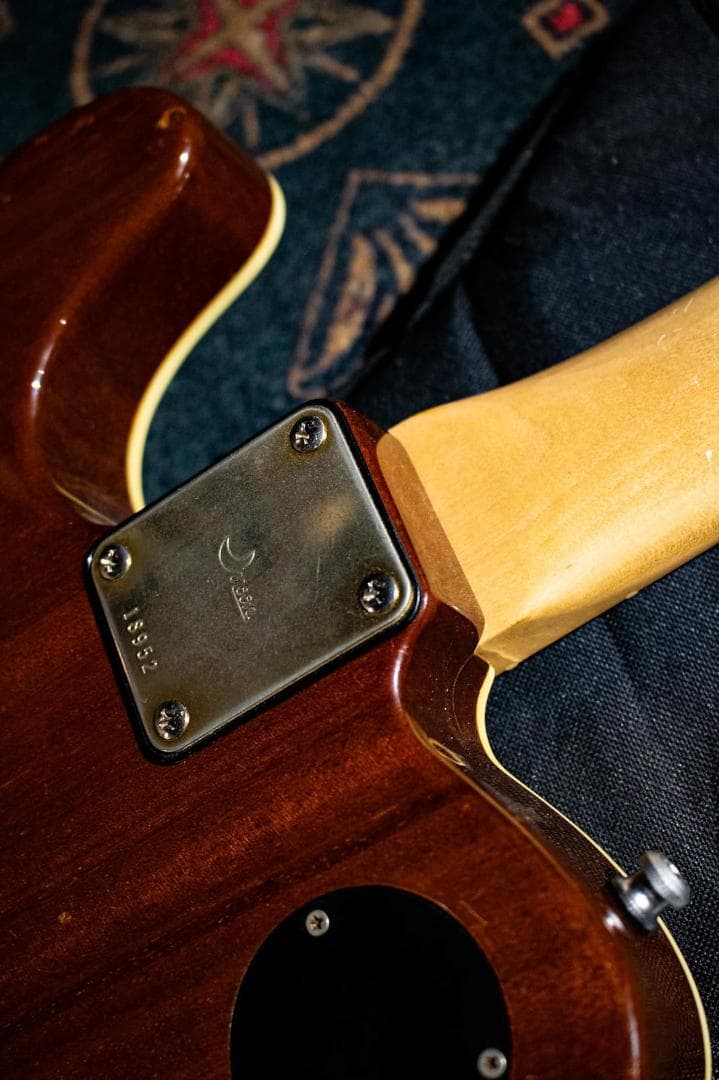 希少 Moon RM-DX-134 レゲエマスター REGGAE MASTER