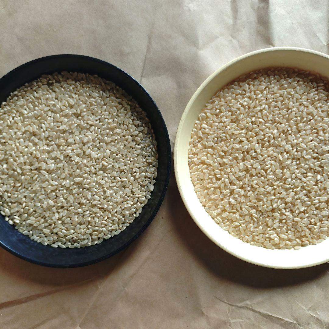 令和7年宮城県産 ひとめぼれ 実質約29kg 玄米