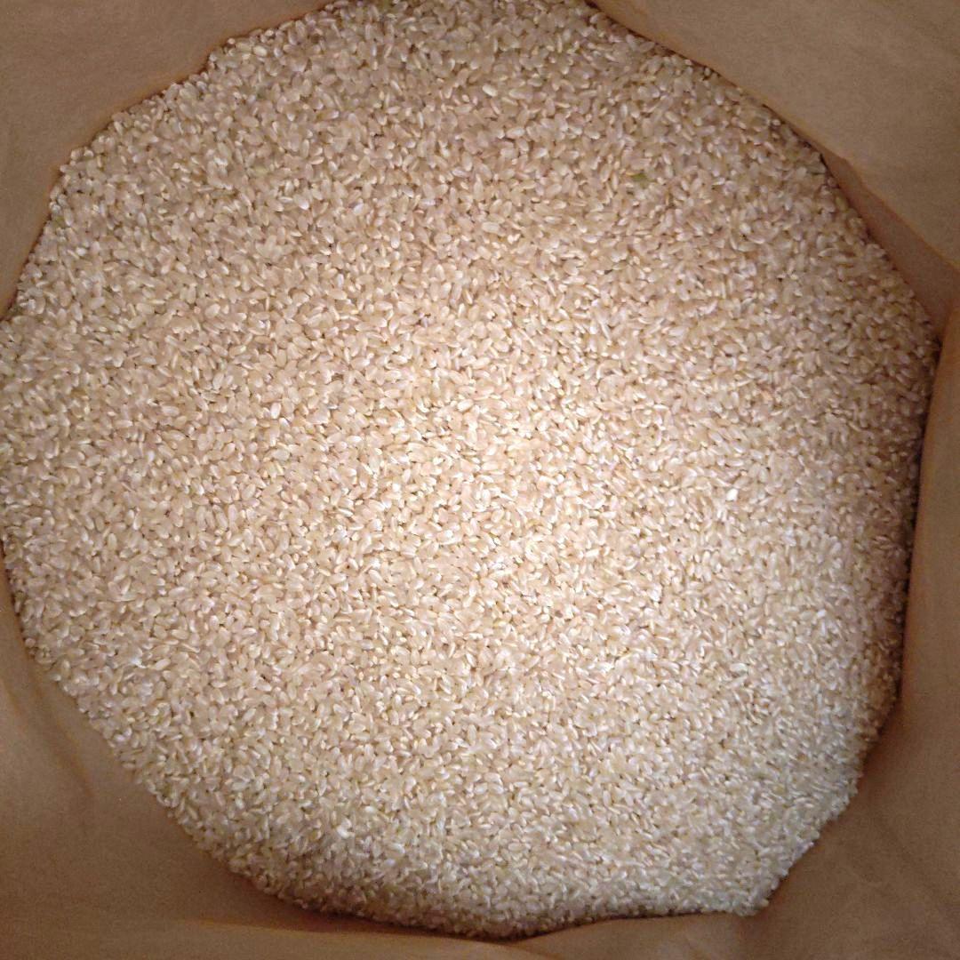 令和7年宮城県産 ひとめぼれ 実質約29kg 玄米