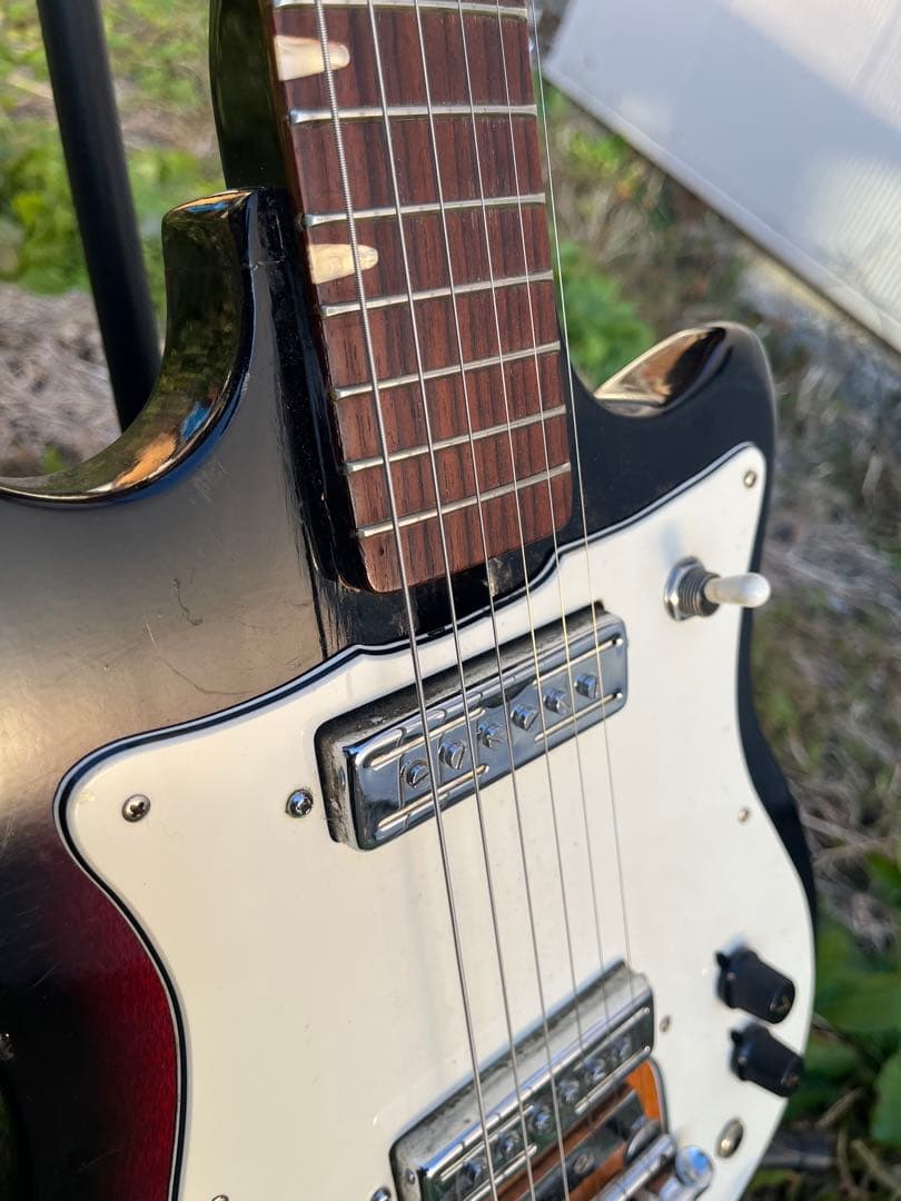 LAKE 日進工業 ビザール