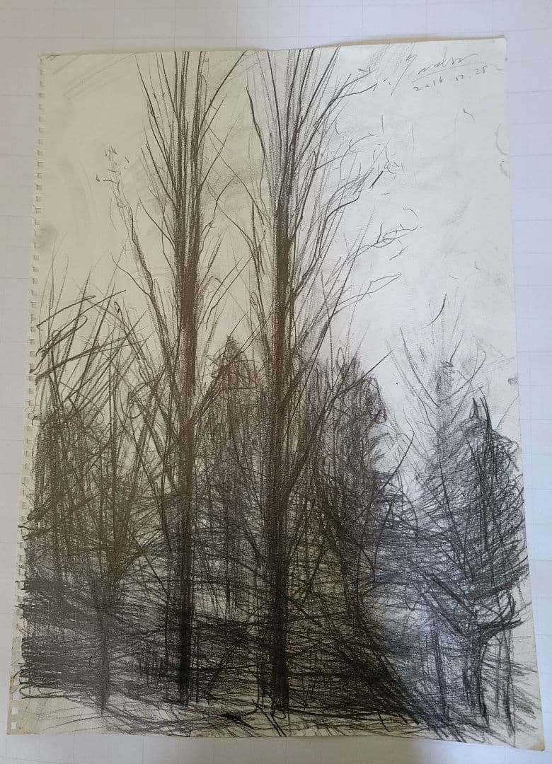 No.7「ポプラ」木炭デッサン