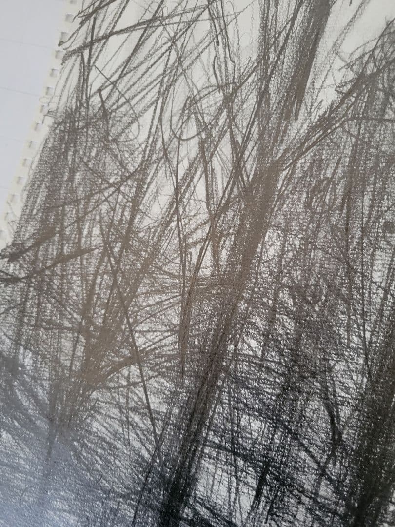 No.7「ポプラ」木炭デッサン