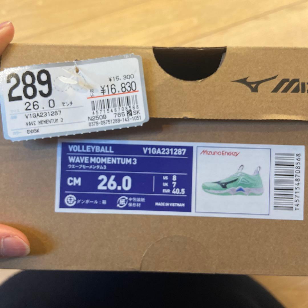 Mizuno バレーボールシューズ ミントグリーン　26センチ　限定品