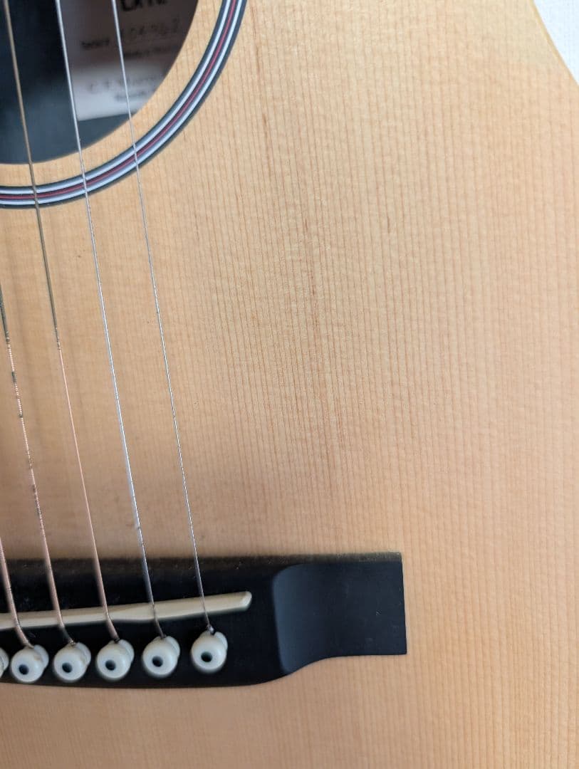 Martin LX1E 純正ソフトケース付属