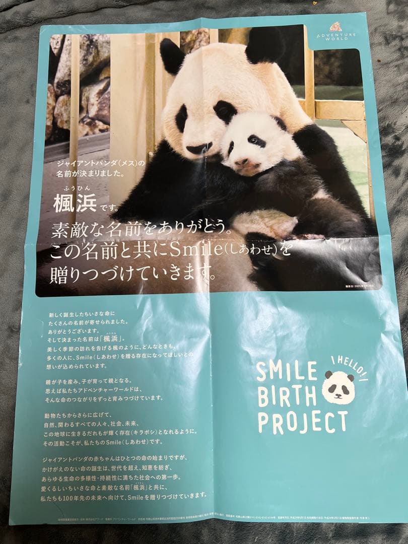 楓浜 アドベンチャーワールド　誕生記念ポスター72×51cm 白浜市配布非売品