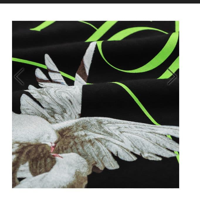 the GazettE　DOVE CIRCLE TEE