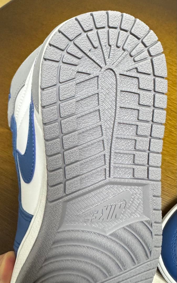 AIR JORDAN 1 トゥルーブルー26cm