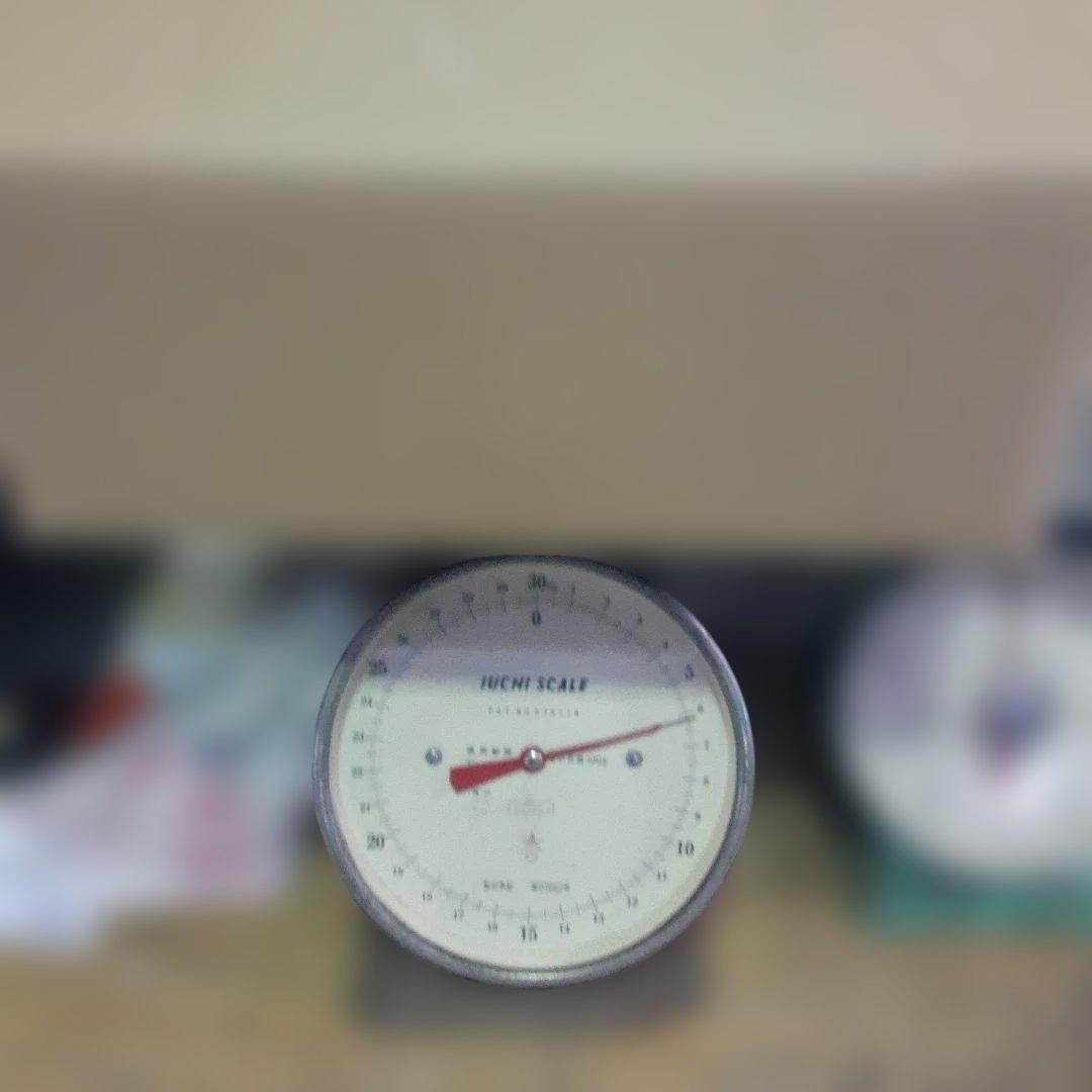 伊江島産♪島らっきょう5㎏