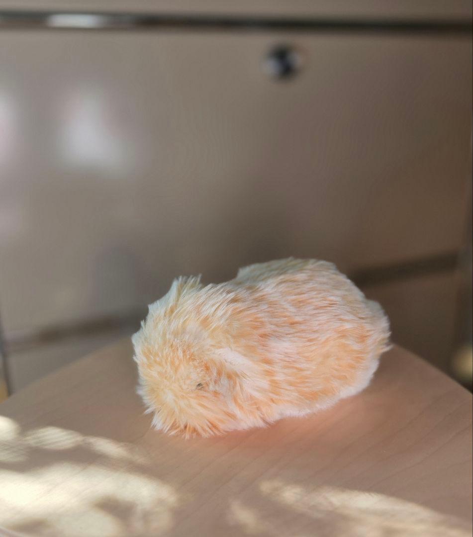 ワケあり　CASIO AIペット Moflin ゴールド