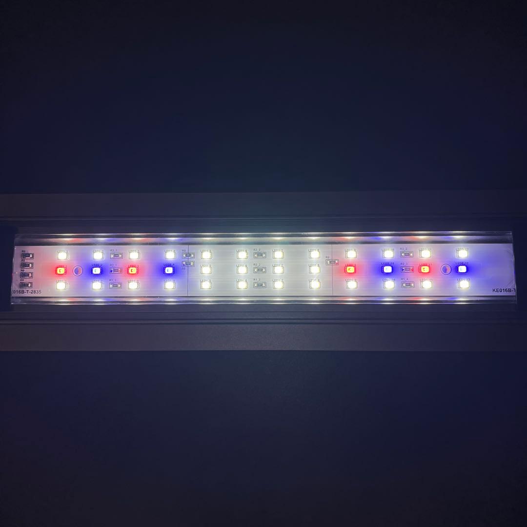 KOTOBUKI 40cm ガラス水槽　水槽セット