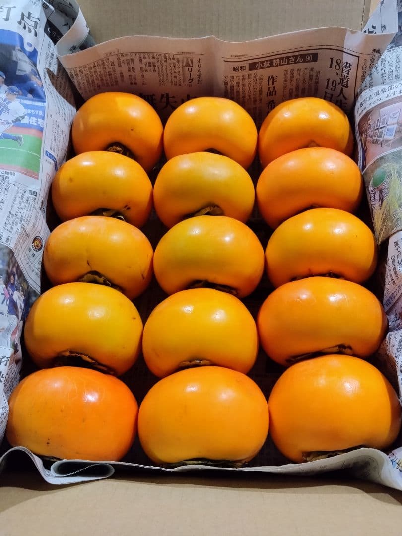 会津みしらず柿　会津身知らず柿　4Ｌサイズ　B級品　15個入り　6