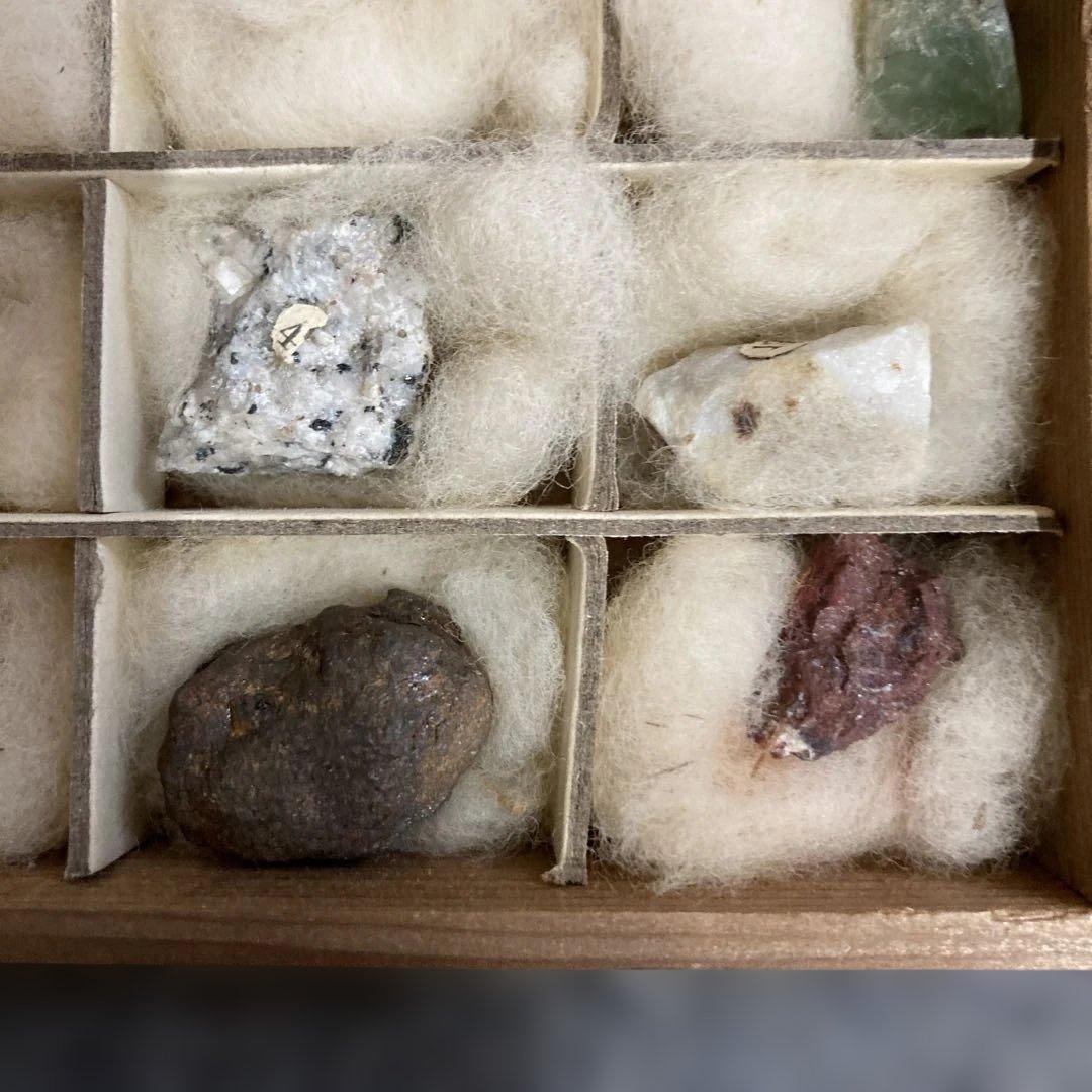 トワカス 木製鉱石標本箱 12個収納