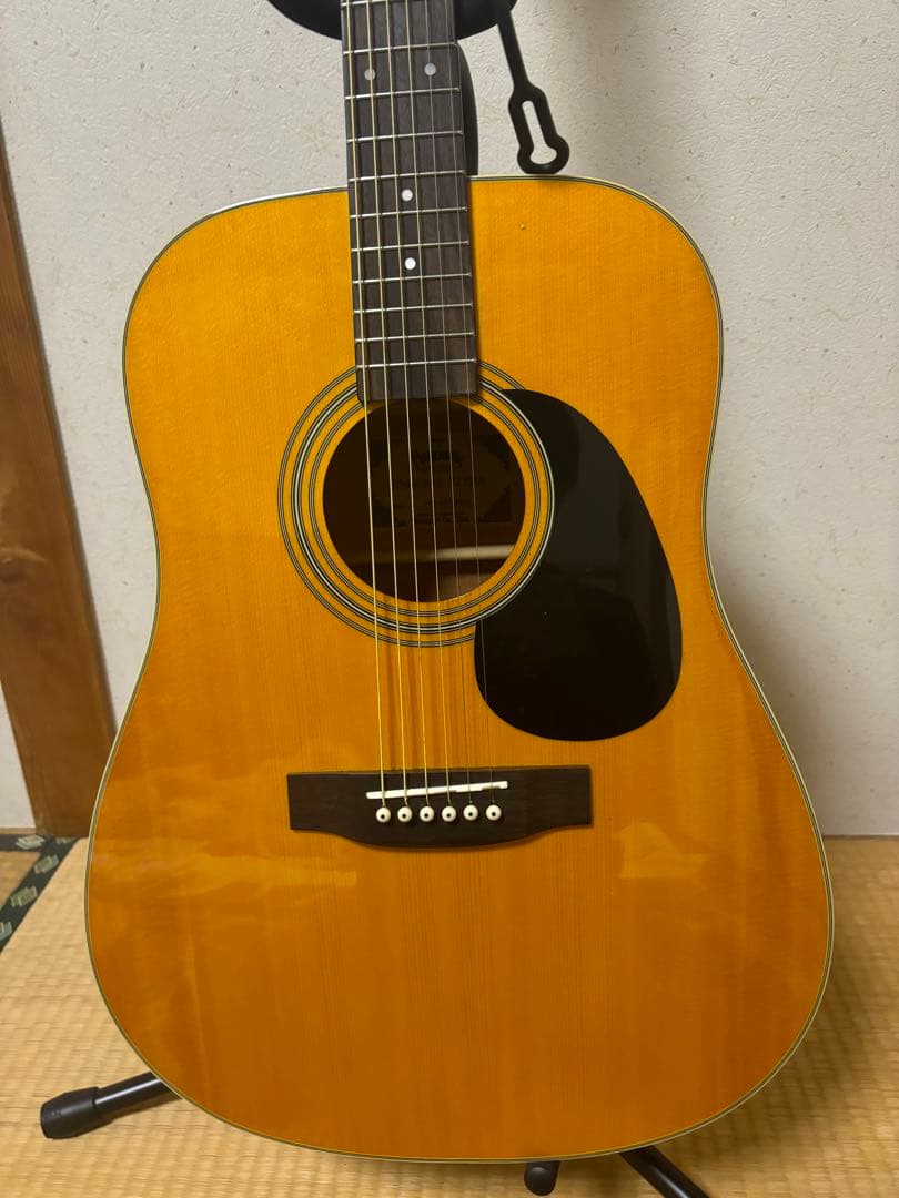 Headway アコースティックギターHD-45S ANA