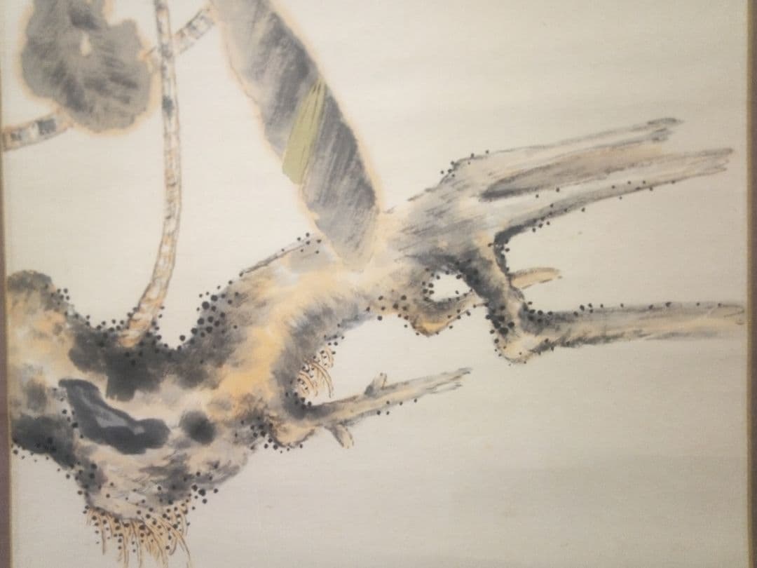 小杉放庵直筆紙本掛け軸共箱付き(題名霜の河雀)