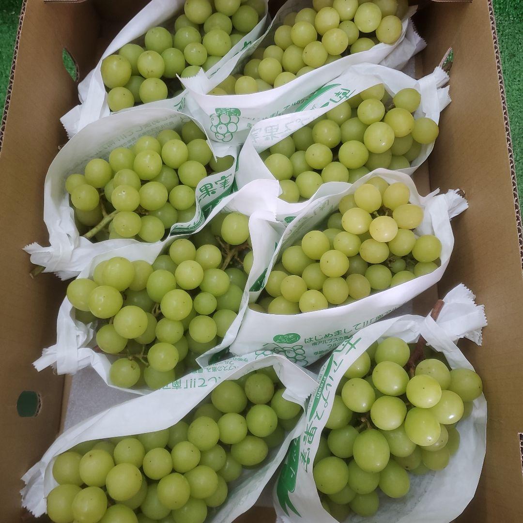 6️⃣ 山梨県産 シャインマスカット ８房入り 箱込み5.2キロ