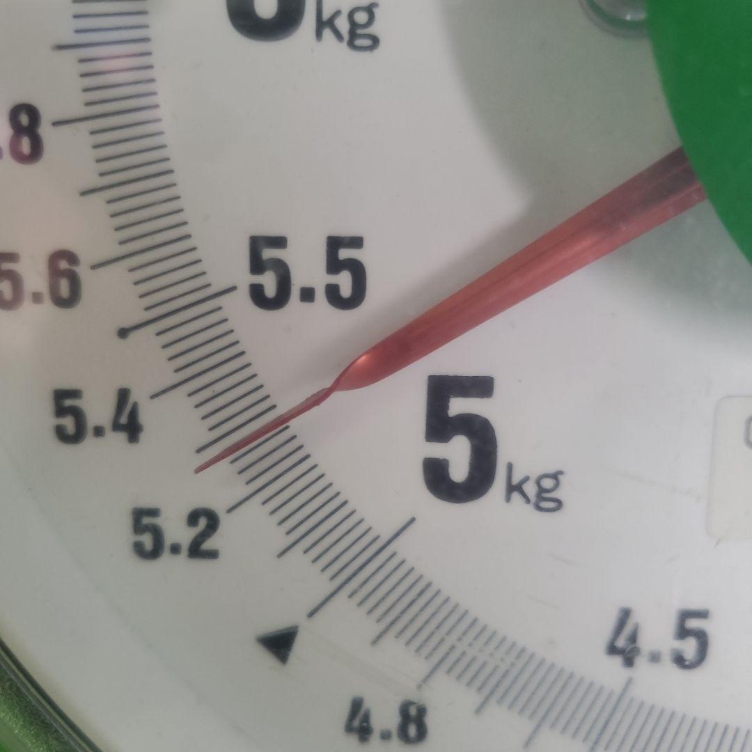 6️⃣ 山梨県産 シャインマスカット ８房入り 箱込み5.2キロ