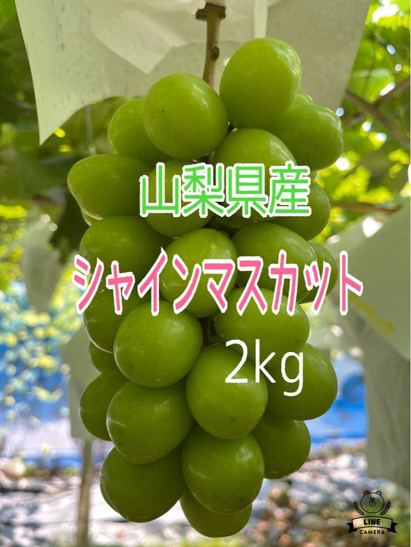 おいもちゃん出品クイーンニーナ 2kgとシャインマスカット2kg