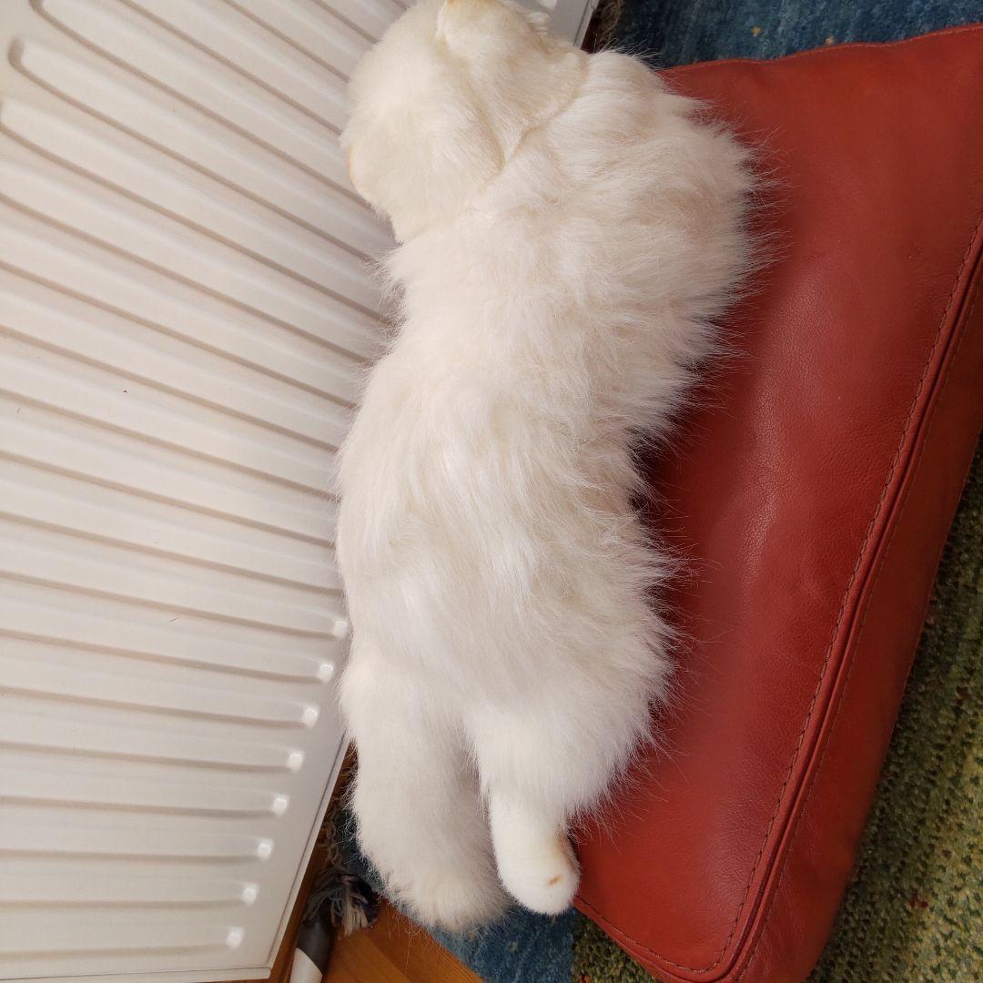 グレイスフル　廃番　ペルシャ猫　日本製アクリル使用　1990年代