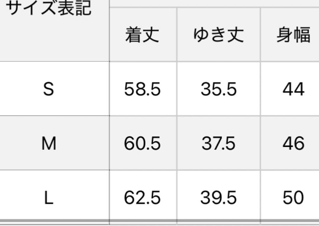 新品　ブリーフィング　モノグラム　ポロシャツ　レディース　L