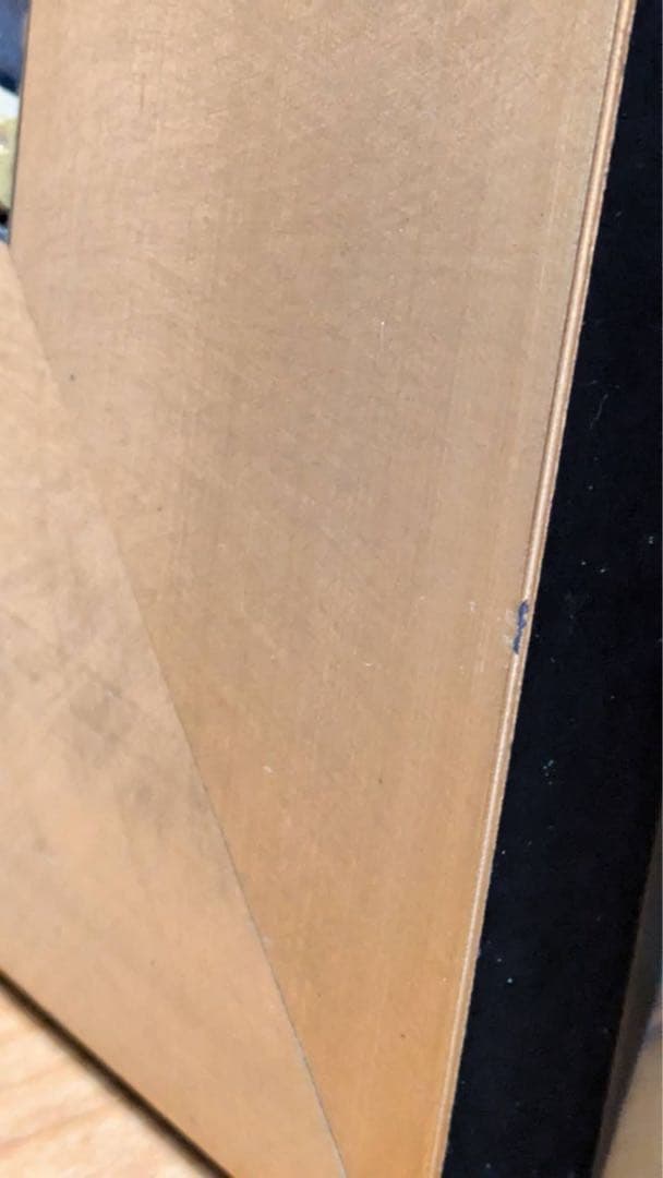 ピーターエレンショー アリエルズマーメイドラグーン