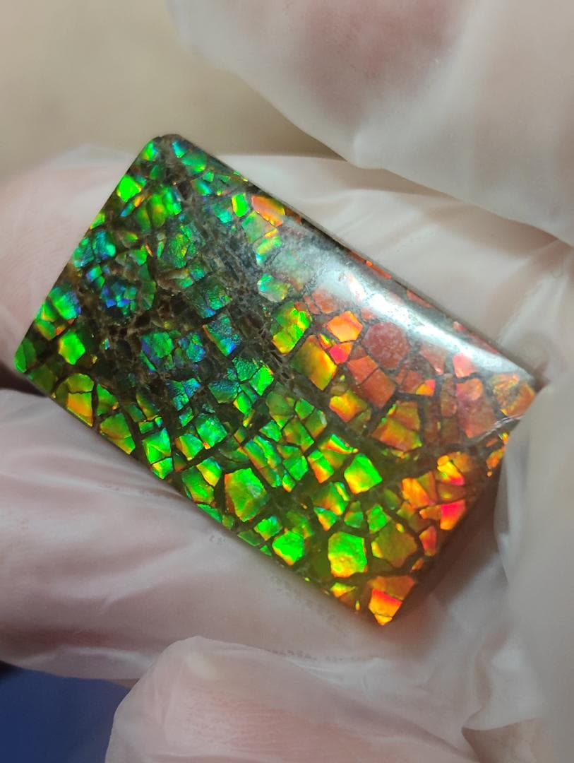 アンモライト　ルース　24-0800 36000