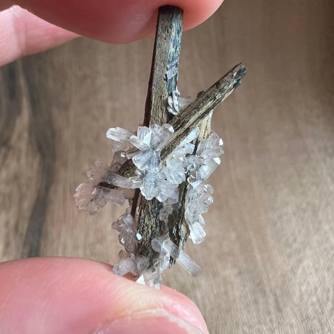 エジリン輝石 ナトロライト 30 共生 鉱物 標本 原石