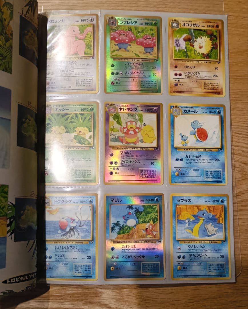 ポケモンカード 旧裏 トロピカルアイランドファイルセット ラフレシア ヤドキング