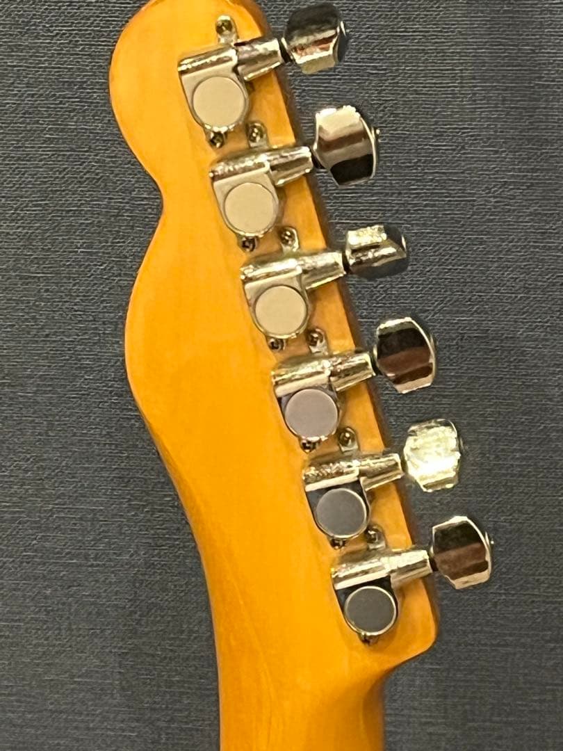 Aria ProⅡ Telecaster Thinline 1978年製