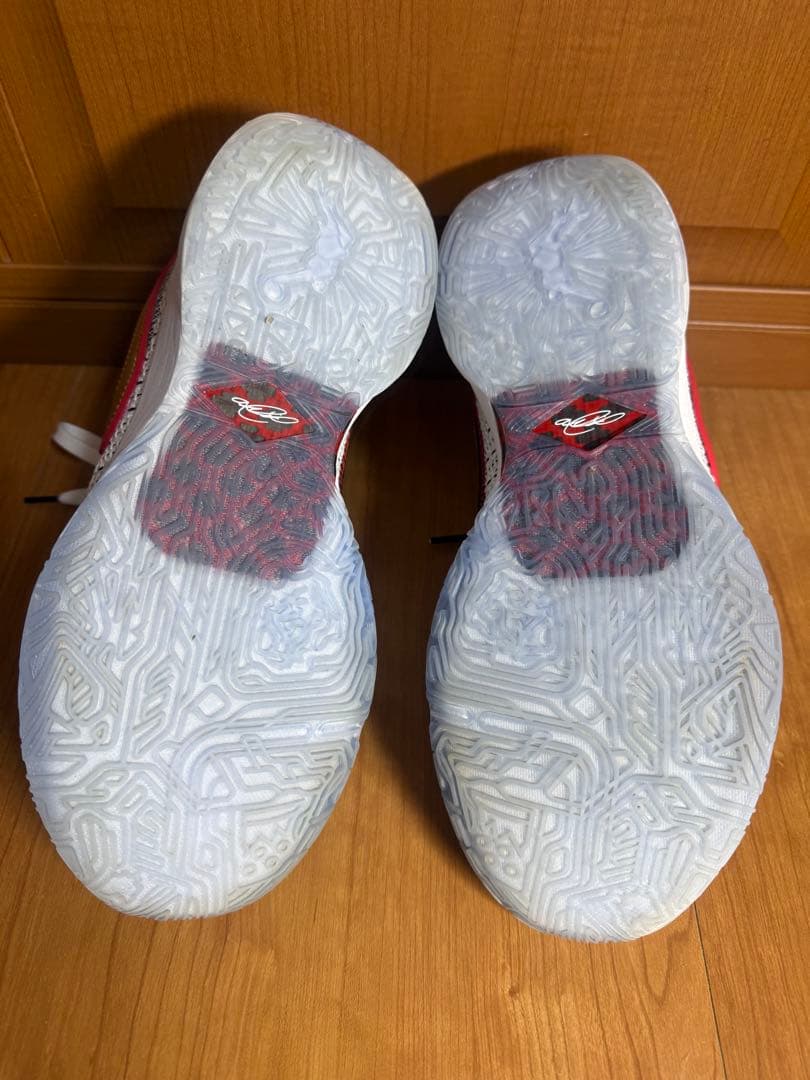 ナイキ　レブロン20【28センチ】