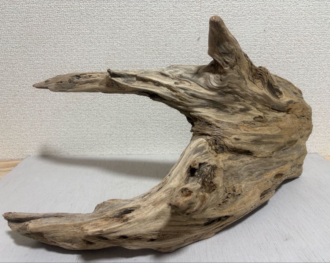 Ｇ86 爬虫類　両生類　シェルター　バスキング　流木