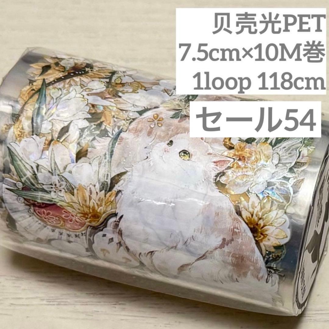 セール54 海外 PETテープ マスキングテープ