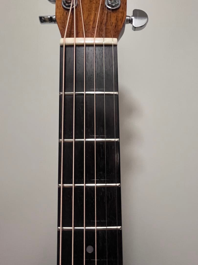 MORRIS M-80 LTD 最終値下げ　1月末まで出品