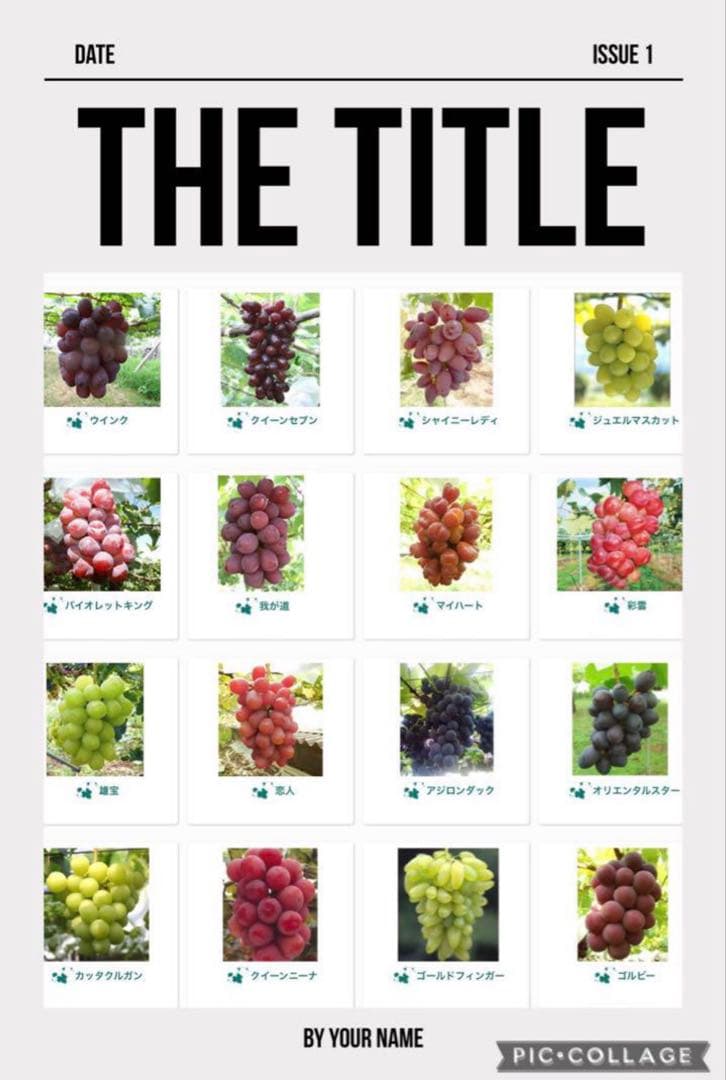 まねき様 美和姫 セブン マイハート 愛妻 ジーコ バイオレット ヌーベル 他