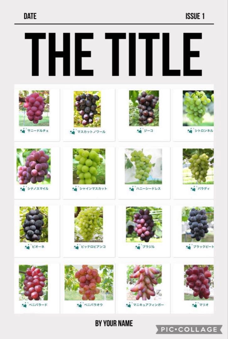 まねき様 美和姫 セブン マイハート 愛妻 ジーコ バイオレット ヌーベル 他