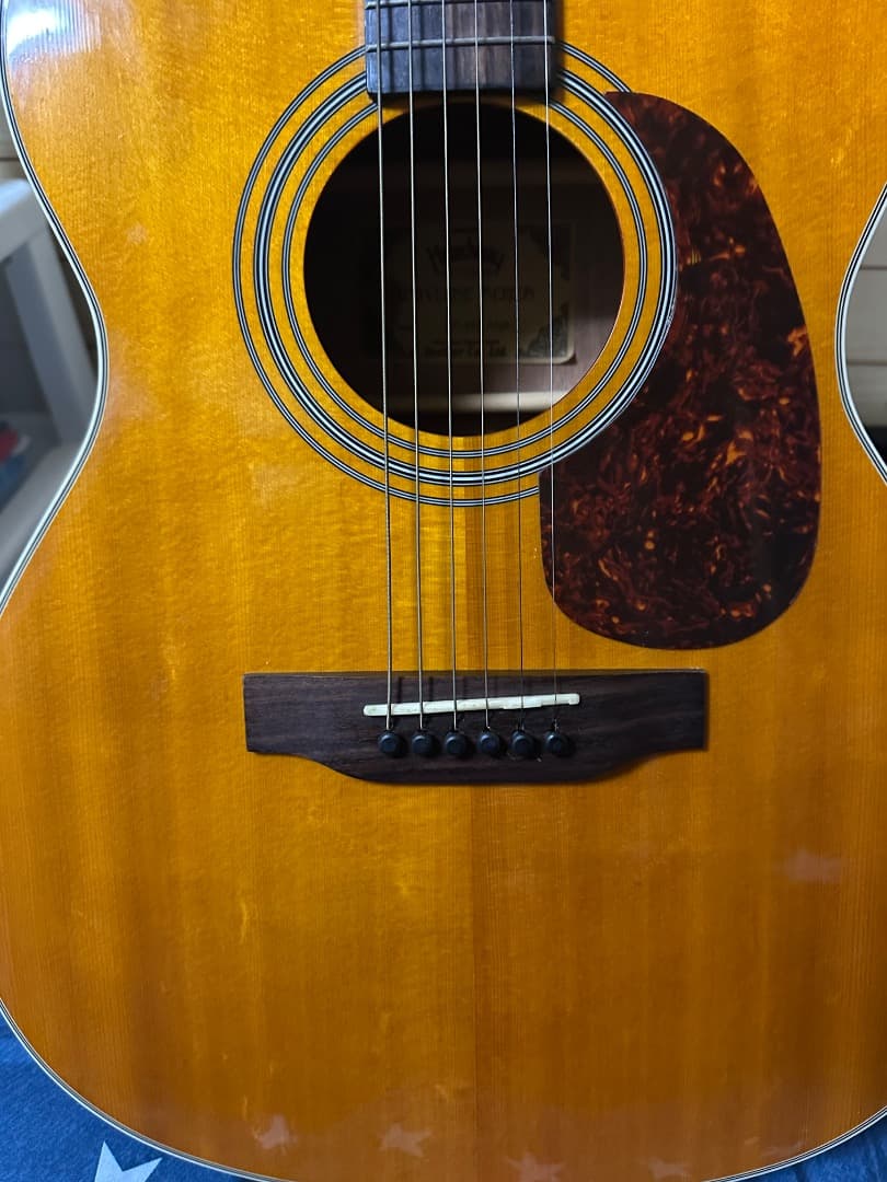 Headway HF-45S ANA アコースティックギター