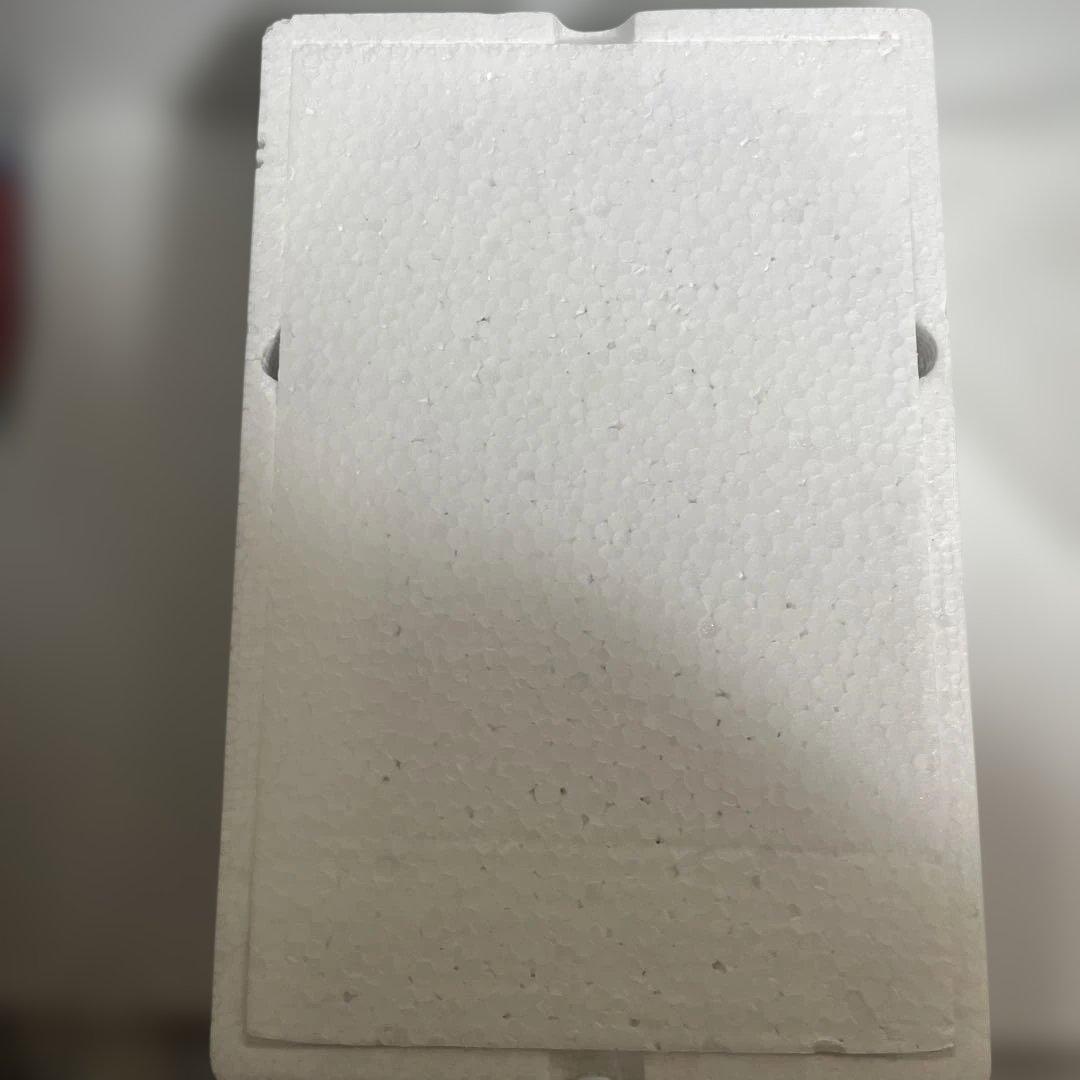 ⚠️未使用デッドストック　巨獣捜査ジャスピオン　ダイレオン　バンダイ　DX超合金