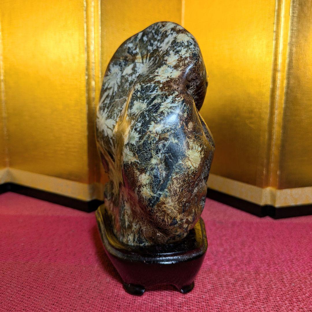 【だまやん】菊花石 岐阜県根尾谷産1.7㌔ 鑑賞石 観賞石 水石 盆石