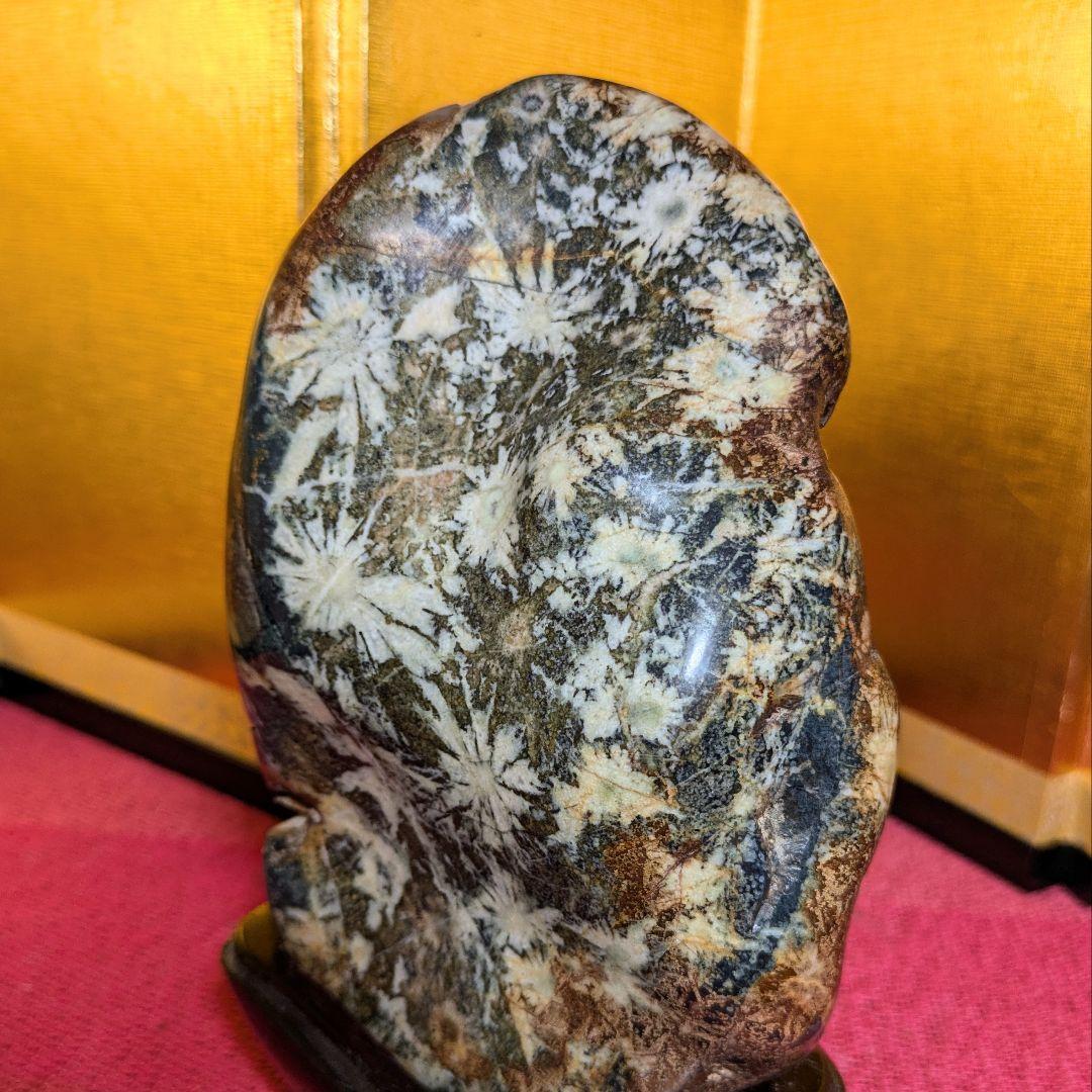 【だまやん】菊花石 岐阜県根尾谷産1.7㌔ 鑑賞石 観賞石 水石 盆石