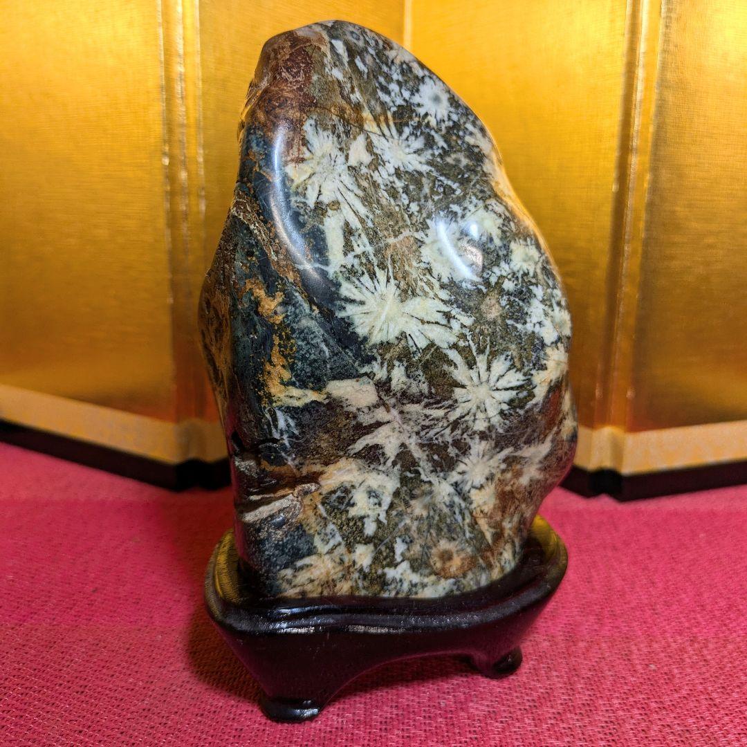 【だまやん】菊花石 岐阜県根尾谷産1.7㌔ 鑑賞石 観賞石 水石 盆石