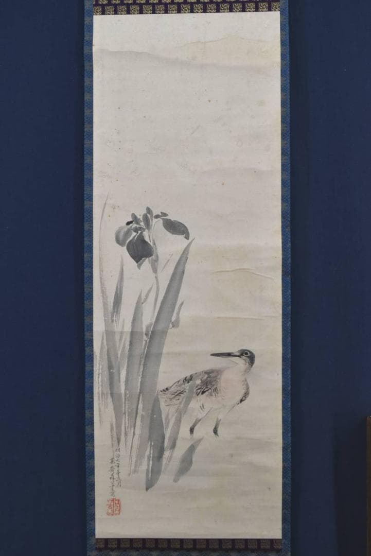 【真作】森寛斎/菖蒲鳥之図/花鳥図/クイナ図/掛軸/名家伝来/AA-386